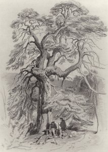 Under det gamle grantræ af Edwin Landseer