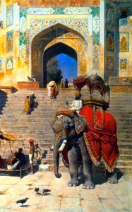 Royal Elephant ved porten til Jami Masjid, Mathura, det 19. eller begyndelsen af det 20. århundrede.