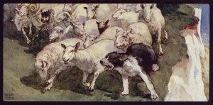 Bobtailed fårehund og flok på klipperne (farve litho) af Edwin Noble