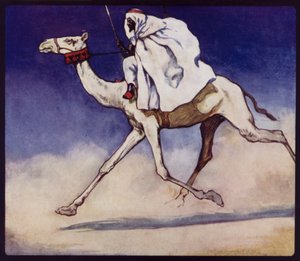 Racing Camel (farve litho)