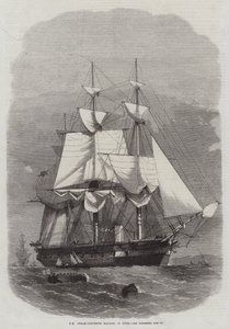 HM Steam-Corvette Racoon, 22 kanoner af Edwin Weedon