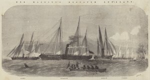 Hendes Majestæts despatch-kanonbåde, Lynx, Beagle, Arrow og Viper