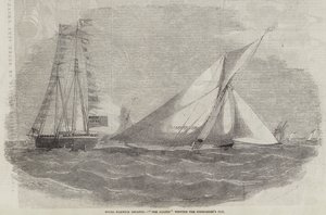 Royal Harwich Regatta, Amazon vinder Commodore