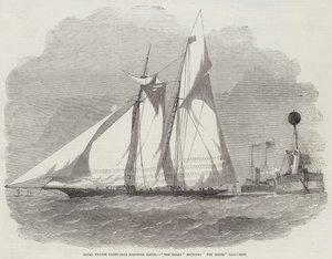 Royal Thames Yacht-Club Skonnert Match, Hajen runder Musens Lysskib