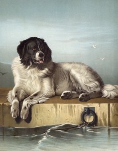 Et fornemt medlem af Humane Society