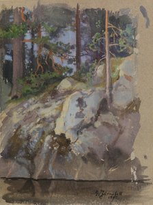 Cliff af Eero Järnefelt