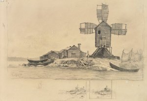 Udsigt over Vasikkasaari