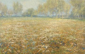 Eng i blomst af Egbert Schaap