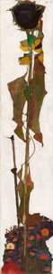Solsikke, 1909-1910. af Egon Schiele
