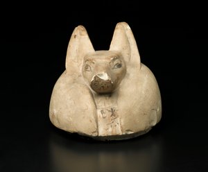 Sjakalhovedet låg af en baldakinkrukke (kalksten) af Egyptian