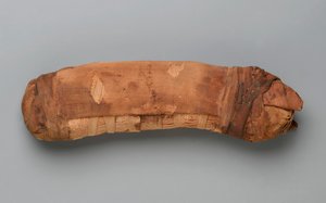 Mumi af en kat (dyrerester og linned) af Egyptian