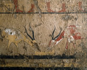 Egyptisk antikvitet: opdræt af betail. Fresko af dronning Neferou III