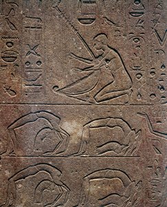 Festligheder med harpespiller og akrobater, relief, Hatshepsuts røde kapel, rekonstruktion udstillet på Karnak-museet, Egyptisk civilisation, Det Nye Rige, XVIII. dynasti af Egyptian 18th Dynasty