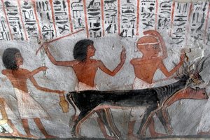 Egyptisk antikvitet: karakterer, der leder betailhoveder. Maleri af Roys grav (TT255). 18. dynasti. Fra Vestbredden af Luxor, Egypten af Egyptian 18th Dynasty