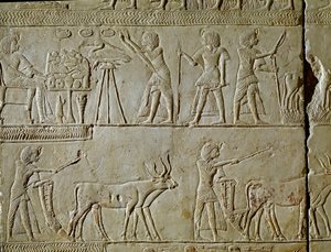 Egyptisk antikvitet: scener med arbejde på markerne og ofringer til faraoen. Detalje af et relief fra graven af Horemhed (ca. 1323-1293 f.Kr.) kongelig skriver af Tutankhamon. 1354-1326 f.Kr. Bologna, Civico Museo Archeologico af Egyptian 18th Dynasty