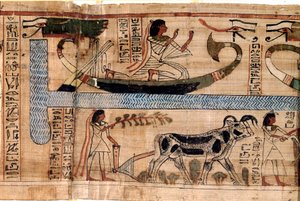Egyptisk antikvitet: navnet på den afdøde Aner repræsenterer på Osiris båd, scenen for pløjning og vejning af sjæle (psykostase). Papyrus fra en Book of the Dead, 20. dynasti, fra Theben. Torino, egyptisk museum - Det gamle Egypten: de afdødes navn af Egyptian 18th Dynasty