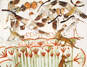 Fiskeri og fuglefangst i marsken, detaljer af fuglene, fra Mennas gravkapel, New Kingdom (vægmaleri) af Egyptian 18th Dynasty