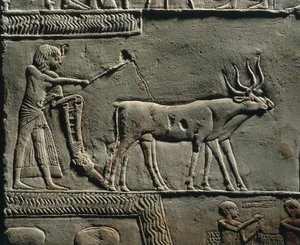 Horemheb pløjer jorden i Iaru-marken. Relief fra Horemhebs grav i Saqqara, detalje. af Egyptian 18th Dynasty