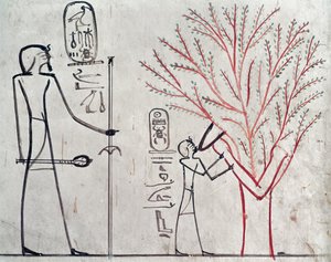 Isis omdannet til et platantræ, der dier Tuthmosis III (ca. 1479-1425 f.Kr.) (vægmaleri) af Egyptian 18th Dynasty