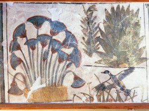 Maleri forestillende and mellem planter, fra Akhenatons palads, El-Awara, Egypten af Egyptian 18th Dynasty