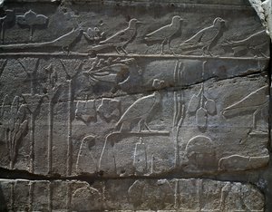 Planter og dyr hjembragt fra Thutmose III