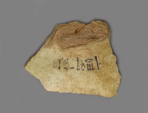 Vinmærke, fundet i Palace of Amenhotep III, Theben, New Kingdom (terracotta med pigment)