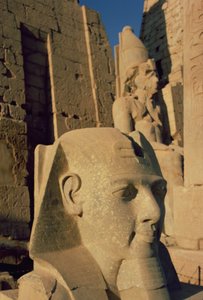 Kolossal overhoved for Ramses II (1298-32 f.Kr.) Nyt Rige