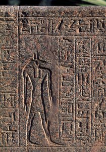 Afbildning af Anubis, detalje af indskrift og relief af Anubis og en anden gud, Amenhoteps sarkofag, Memphis (Unescos verdensarvsliste) af Egyptian 19th Dynasty