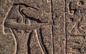 Afbildning af Thoth, detalje af indskrift og relief af Thoth og Horus, Amenhoteps sarkofag, Memphis (Unescos verdensarvsliste) af Egyptian 19th Dynasty
