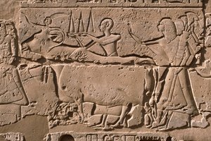Detalje af et relief, der viser mænd, der fører en ko, Ramses II (1298-32 f.Kr.) gårdhave (kalksten) af Egyptian 19th Dynasty