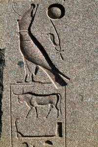 Hieroglyf med Horus