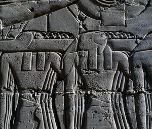 Præst iført høgemaske, detalje fra scene, der viser Ramses II foran hellig båd, relief, indvendige vægge i den store hypostylehal, Karnak-tempelkomplekset (Unescos verdensarvsliste) af Egyptian 19th Dynasty