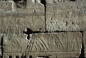 Relief, Amon-templet, Luxor, det gamle Theben (UNESCO