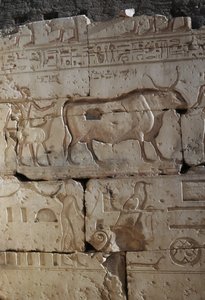 Relief, Ramses II