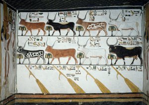 Syv himmelskøer, ægte tyr og fire styrende årer, kapitel 148 i Book of Dead, detaljer fra kalkmalerier i andet kammer i Tomb of Nefertari, Valley of Queens, Luxor, Theben. Egyptisk civilisation, New Kingdom, Dynasti XIX. af Egyptian 19th Dynasty
