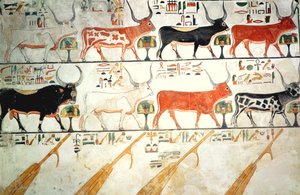 De syv himmelske køer og den hellige tyr og himlens fire ror, fra Nefertaris grav, New Kingdom (vægmaleri) af Egyptian 19th Dynasty