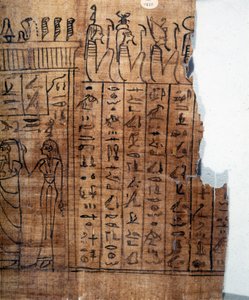 The Book of the Dead: Egyptisk hieroglyf på en papyrus fra det 22. dynasti. Detalje. 9. århundrede f.Kr. Torino, egyptisk museum.