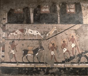 Landbrugsscene, vægmaleri fjernet fra Mastaba of Ti ved Sakkara, Old Kingdom, ca. 2494-2345 f.Kr. (malet kalksten)