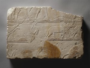 Relief med ørkendyr, Old Kingdom, fundet ved Saqqara, ca. 2472-2455 f.Kr. (malet kalksten)