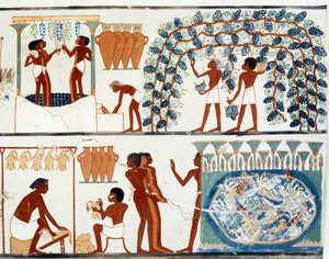 Art Egypt: plukke og træde druer. Simile College of the Tomb of Nakht, perioden for Amenophis II (ca. 1450-1425 f.Kr.) Paris, College De France
