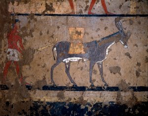 Ægyptisk antikvitet: "" transporten af korn på ryggen af et muldyr""" Tempera maleri af væggen i graven af kansleren for kong Iti (eller Ity) 2200-2000 f.Kr. Fra El Ghebelen, Luxor. Torino, egyptisk museum af Egyptian Egyptian