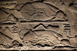 Luxor-templet: Ofrede køer (relief) af Egyptian Egyptian