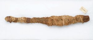 Krokodillemumie, fundet ved Manfalont, 305 f.Kr.-30 f.Kr. (dyrerester og linned) af Egyptian School