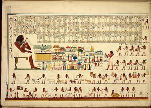 Egyptiske hieroglyffer, fra udsigter osv., fra Sheikh-Hassan til Beni-Hassan, Atlas Folio (papir)