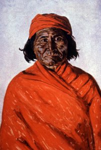 Geronimo, ca. 1900 (illustration) af Elbridge Ayer Burbank