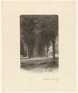 Uden titel [Tree-lined Street]
