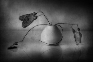 Minimalistisk botanisk stilleben af Elena Arjona