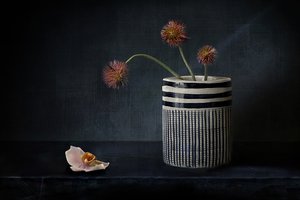 Stemningsfulde, strittende blomster af Elena Arjona