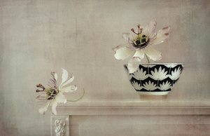 Stilleben med passionsblomst af Elena Arjona