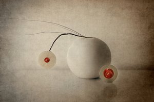 Red Orb-forbindelsen af Elena Arjona